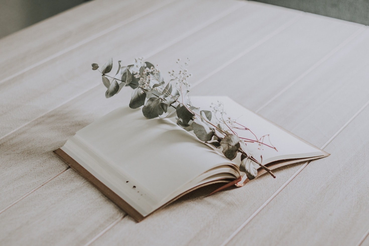 La Magia de Escribir Desde la Ciudad de México